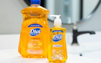 Dial Hand Soap Refill As Low As $4 At Publix