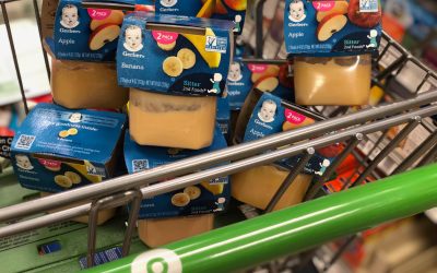 New Gerber Baby Food Coupon For Current Publix Sale Makes The 2-Packs As Low As 67¢ Each At Publix