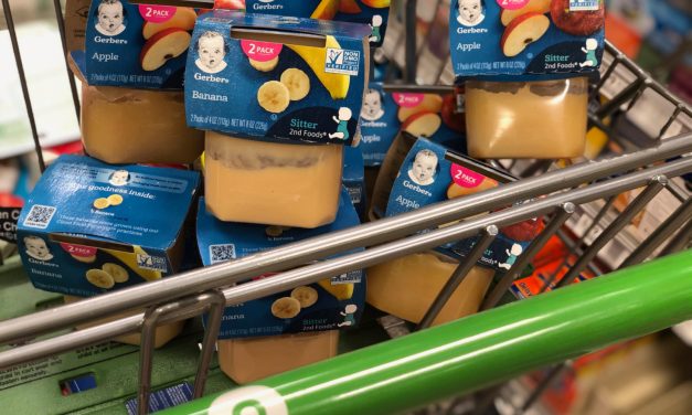 New Gerber Baby Food Coupon For Current Publix Sale Makes The 2-Packs As Low As 67¢ Each At Publix