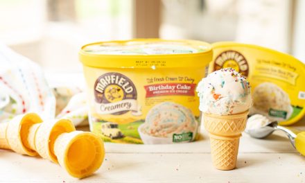 Find Your Favorite Mayfield Ice Cream At Publix – Grab What’s Good!