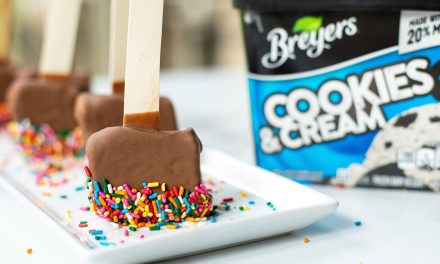 Make A Batch Of Easy Ice Cream Bars And Save On Breyers Ice Cream At Publix!