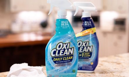 Try New OxiClean™ Multi-Purpose Disinfectant Cleaners – Available At Your Local Publix