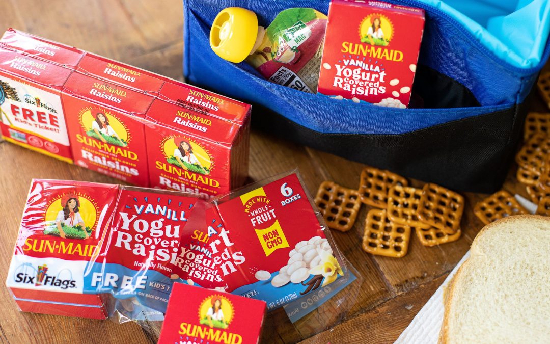 Get The 6-Packs Of Sun-Maid Yogurt Covered Raisins For Just $2.24 At Publix