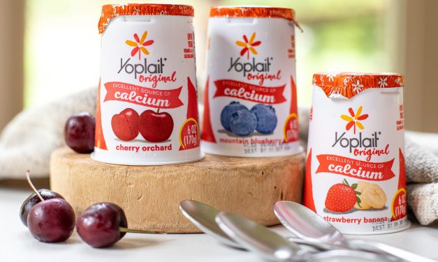 Yoplait Yogurt Cup As Low As 61¢ At Publix