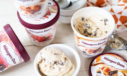 Keep The Summer Fun Going With The Delicious Taste Of Häagen-Dazs® – Buy One, Get One FREE At Publix!