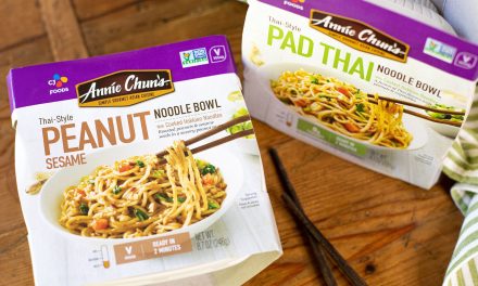 Get Annie Chun’s Soup or Noodle Bowls For As Low As $2 Each At Publix