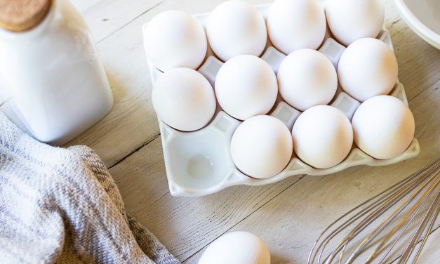 Today Only – Save $2.50 On Eggs At Publix