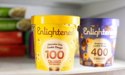Enlightened Ice Cream As Low As 90¢ At Publix (Regular Price $5.79)