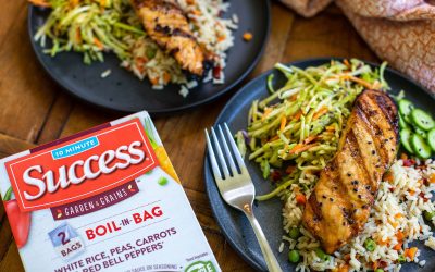 Pick Up Success Garden & Grains™ Rice Blends At Publix & Try My Asian Salmon Over Rice