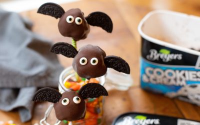 Celebrate With A Batch Of Ice Cream Bat Bites & Save On Tasty Ice Cream Favorites At Publix