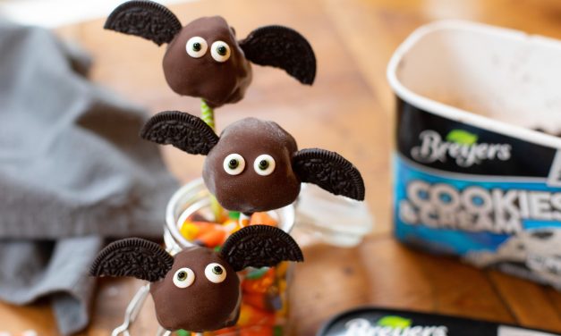 Celebrate With A Batch Of Ice Cream Bat Bites & Save On Tasty Ice Cream Favorites At Publix