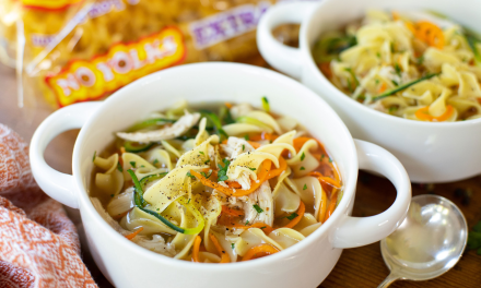 Get Big Savings On No Yolks At Publix And Try This Oodles of Noodles Chicken Soup Recipe