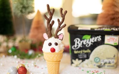Serve Up Something Festive & Delicious With Breyers® Ice Cream – BOGO At Publix