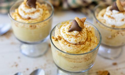 Save $1.50 On Truvia® And Try My Sugar-Free Pumpkin Mousse (The Ultimate No-Bake Fall Dessert!)