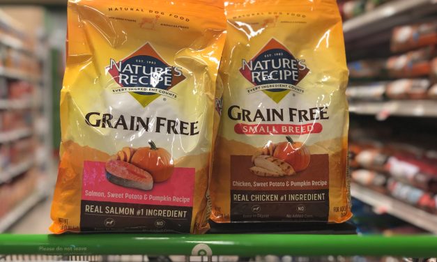 Nature’s Recipe Dog Food Only $5.10 At Publix