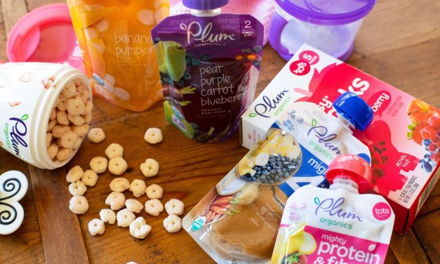 Fantastic Deal On Plum Organics® Baby Food & Snacks Available NOW At Publix!