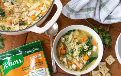 Try My Short Cut Chicken Noodle Soup Made With Knorr Sides & Save Now At Publix