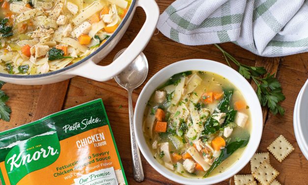 Try My Short Cut Chicken Noodle Soup Made With Knorr Sides & Save Now At Publix
