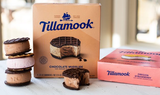 Enjoy A Sweet Escape With Tillamook Ice Cream Sandwiches + Earn A Publix Gift Card