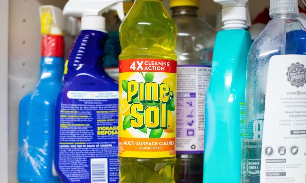 Bottles Of Pine-Sol Multi-Surface Cleaner Only $3 At Publix