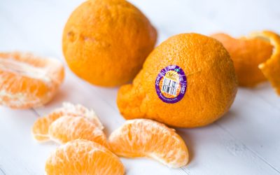 Super Discount On Sumo Citrus Mandarins