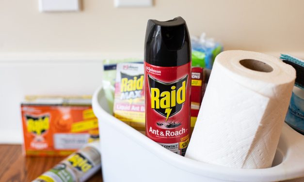 Raid Coupons For The Publix Sale – Get The Spray Just $2.39 (Regular Price $5.39)