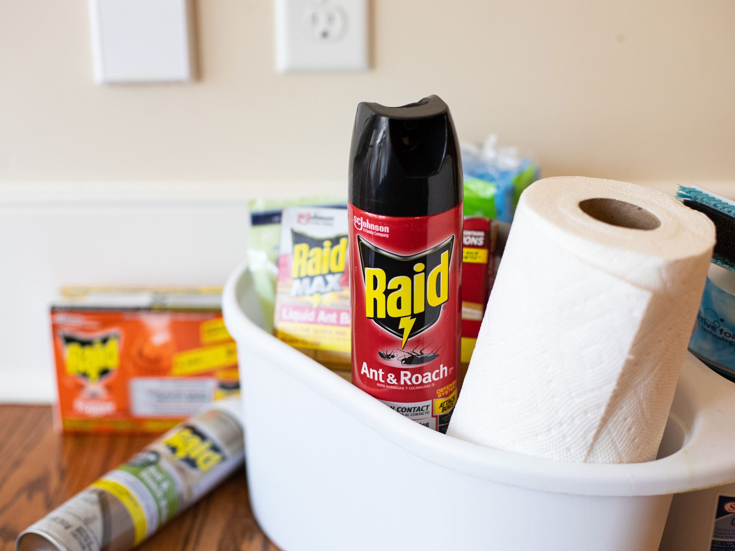 Great Deals On Raid® Products At Publix - Get Rid Of The Pests That Bug You! on I Heart Publix