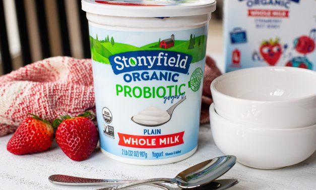 Get The Big Tubs Of Stonyfield Organic Yogurt For Just $2.70 Each At Publix (Regular Price $7.89)