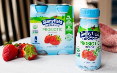Stonyfield Organic Yogurt Smoothie 4-Packs As Low As $1.25 Per Pack At Publix