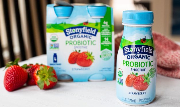 Stonyfield Organic Yogurt Smoothie 4-Packs As Low As $1.25 Per Pack At Publix