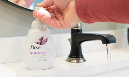Dove Hand Wash Only $1.82 At Publix – Less Than Half Price