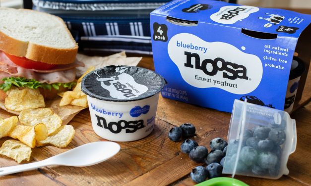 Noosa Finest Yoghurt Multi-Packs As Low As $1.30 At Publix