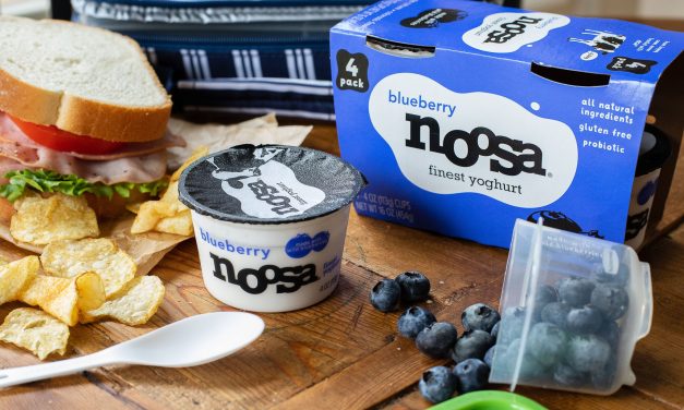 Noosa Finest Yoghurt Multi-Packs As Low As $2 At Publix