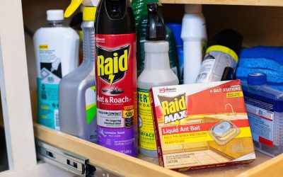 Raid Products As Low As 75¢ At Publix