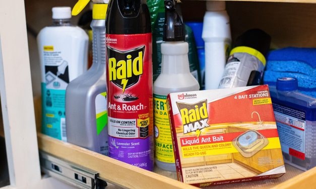 Be Ready To Tackle Pests In And Around Your Home With Raid® Products – On Sale At Publix