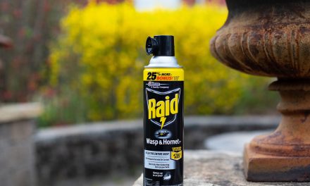 Great Deals On Raid® Products At Publix – Save 20% On Everything You Need To Protect Your Home