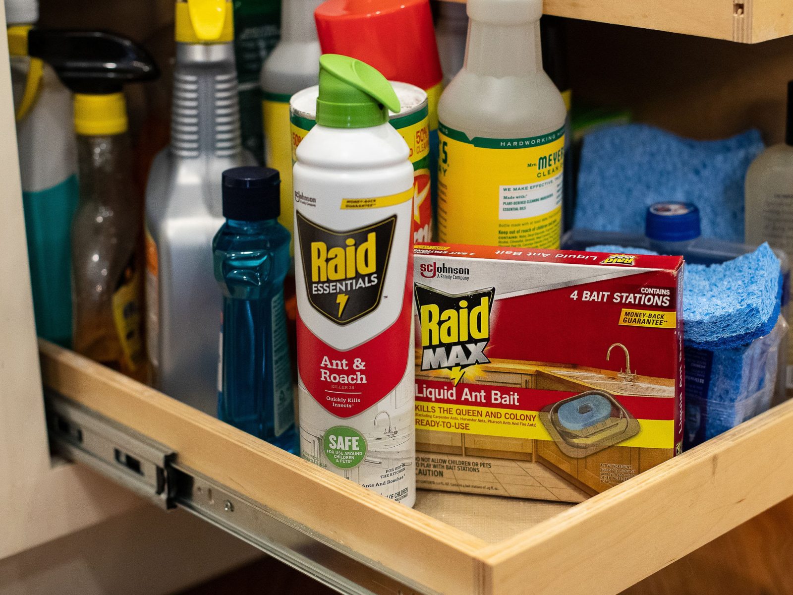 Add Raid® Essentials Ant & Roach Killer To Your Spring Cleaning Supply List & Pick Up Savings At Publix