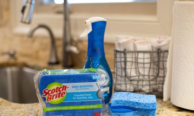 6-Count Package Of Scotch-Brite Sponges Only $2.87 At Publix (48¢ Per Sponge)