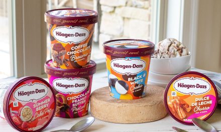 Take Advantage Of The BOGO Sale On Häagen-Dazs® At Publix – Perfect Time To Try The New Häagen-Dazs® City Sweets Collection