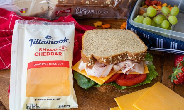 Save On Your Favorite Tillamook Cheese At Publix And Serve Up Something DELICIOUS!