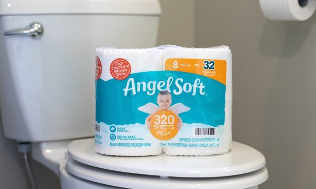Angel Soft Bath Tissue Just $4 At Publix (Regular Price $8.39)