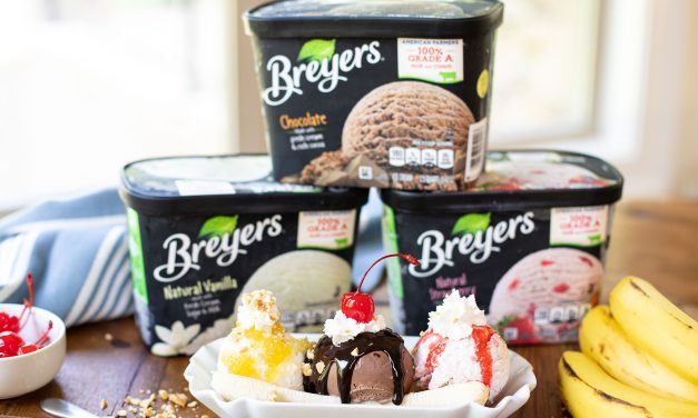 Breyers Coupon Makes Ice Cream As Low As $2.45 At Publix