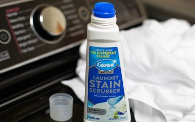 Carbona Pro Care Laundry Stain Scrubber As Low As 90¢ At Publix