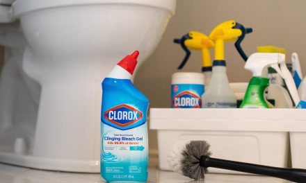 Get Clorox Toilet Bowl Cleaner For Just $1.75 At Publix