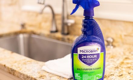 Microban Coupons For The Publix Sale – Get Multi-Purpose Spray For Just $3.49 (Ends 8/27)