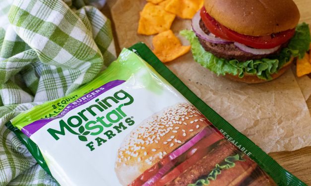 Get MorningStar Farms Veggie Entrees As Low As $2.50 At Publix