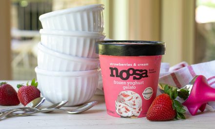 Noosa Frozen Yoghurt Gelato Just 84¢ At Publix