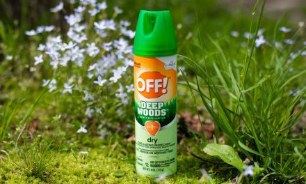 Grab Savings On OFF!® Deep Woods Repellent At Publix – Protect Your Family From Insects All Summer Long!
