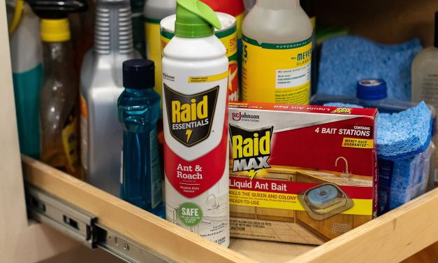 New Raid Coupons For The Publix Sale – Raid Essentials Spray Just $1