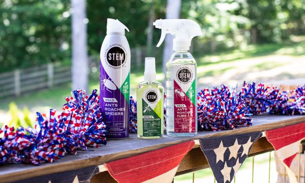 Stock Up On STEM Products For Your Summer Celebrations!